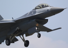 FSD (32)