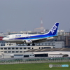 イルカ