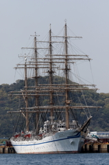 日本丸 (2)