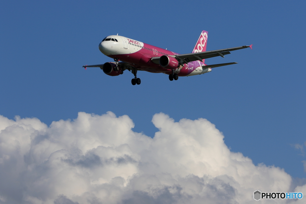 A320