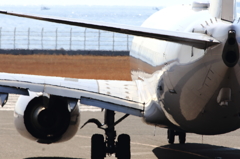 B737 (3)