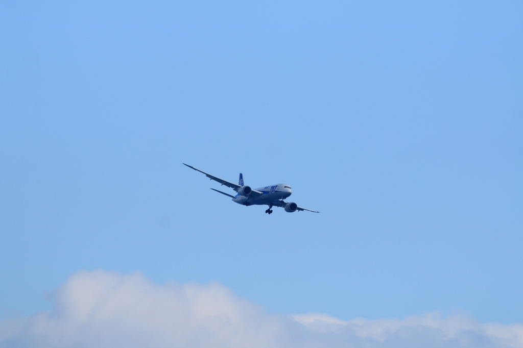 B787