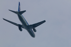 B767 (3)