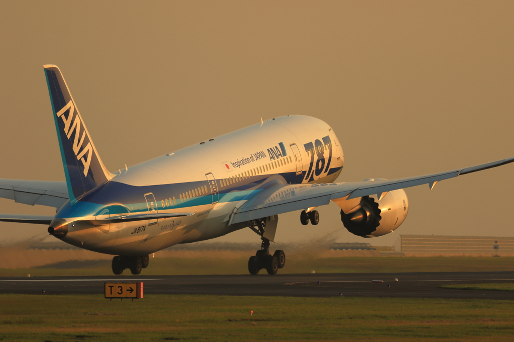 B787 (3)
