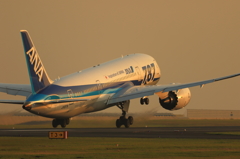 B787 (3)