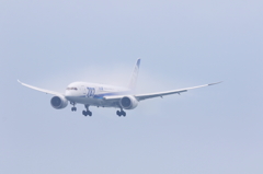 B787