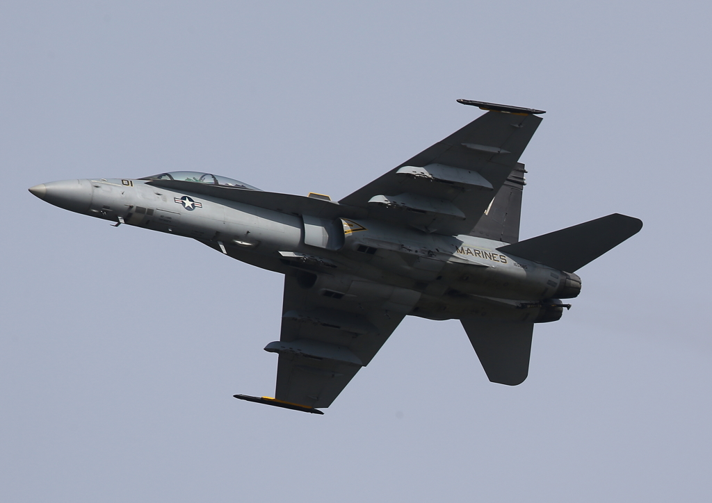 FSD (24)