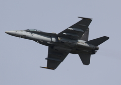FSD (24)