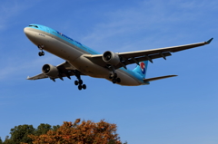 KOREAN AIR