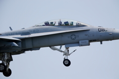 FSD (19)