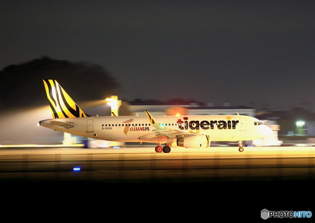tigerair (3)
