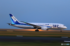 B787 (5)