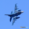 F2 (2)
