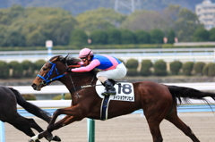 小倉競馬場 (14)