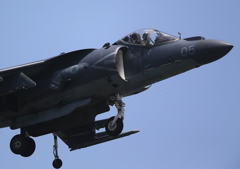 FSD (30)
