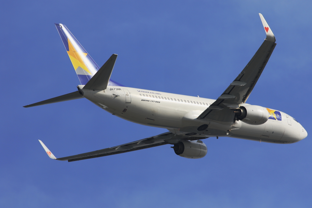 SKYMARK (3)