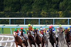 小倉競馬場 (7)
