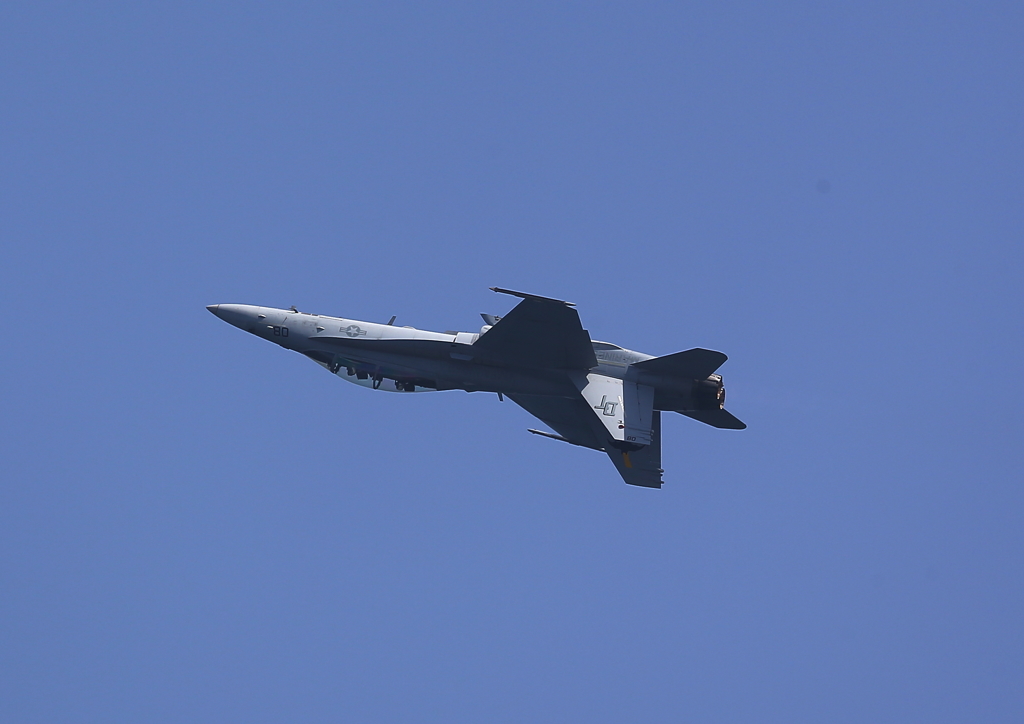 FSD (14)