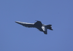 FSD (14)