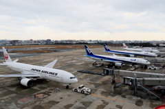 福岡空港2タミ (2)