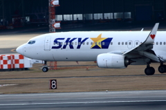 SKYMARK