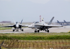 FSD (12)