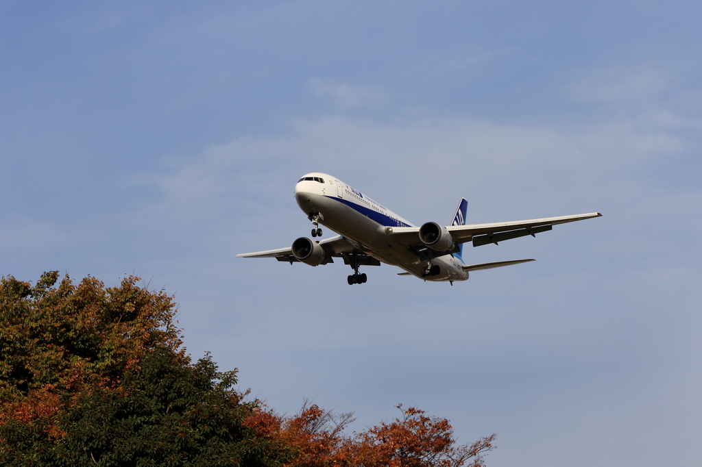 B767 (3)