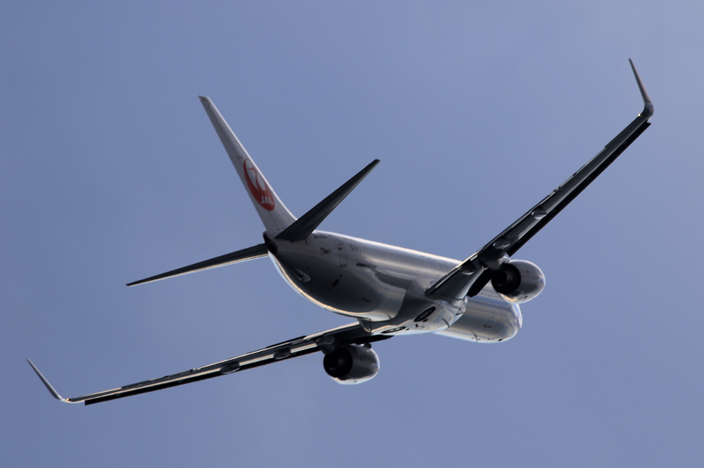 B737 (2)