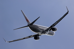 B737 (2)