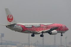 福岡空港RWY34側 (6)