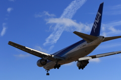 B767 (10)