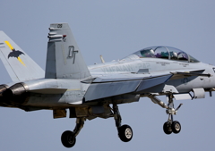 FSD (33)