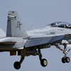 FSD (33)