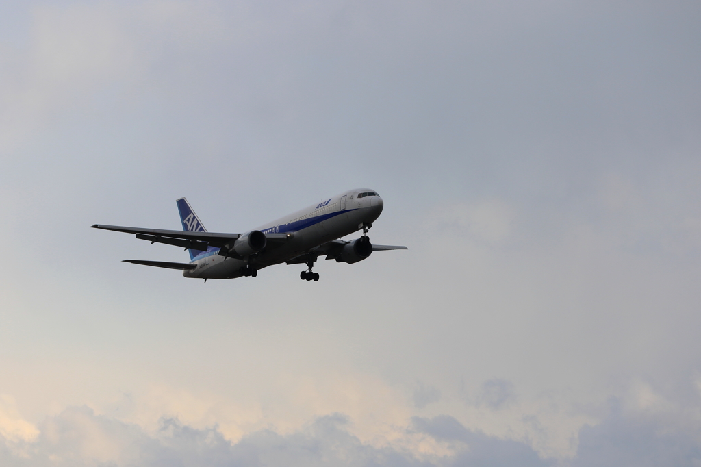 B767