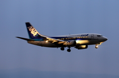 B737 (2)