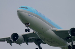 KOREAN AIR