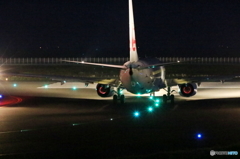 B737 (2)