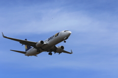 SKYMARK (3)