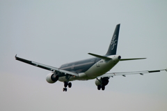 SterFlyer