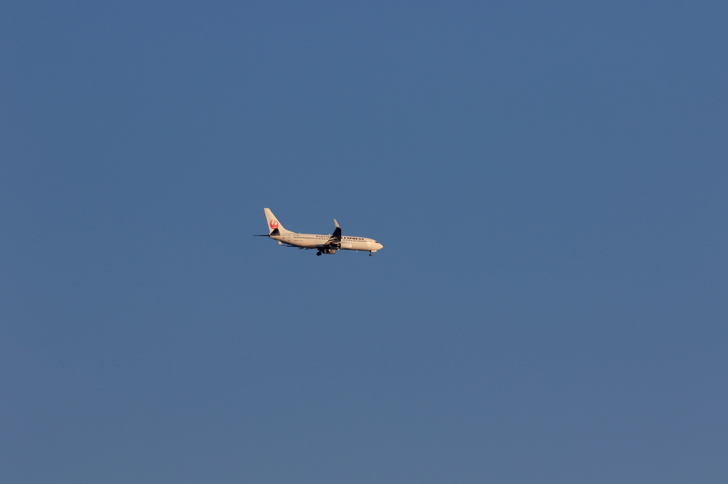 B737 (3)