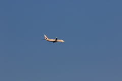 B737 (3)