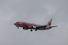 那覇空港遠征 (28)