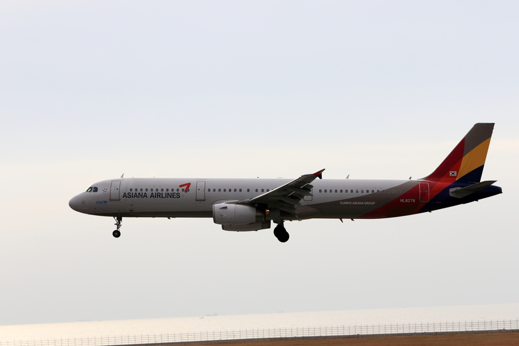 ASIANA (2)