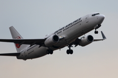 B737