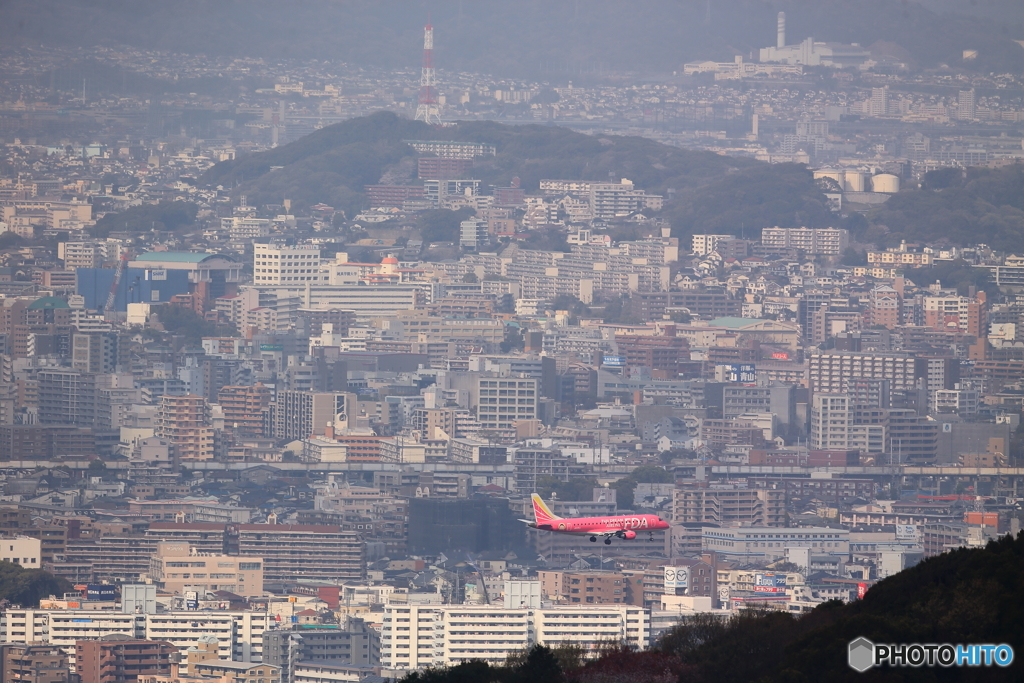 井野山