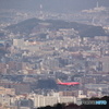 井野山