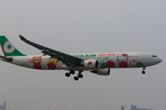 福岡空港RWY34側 (5)