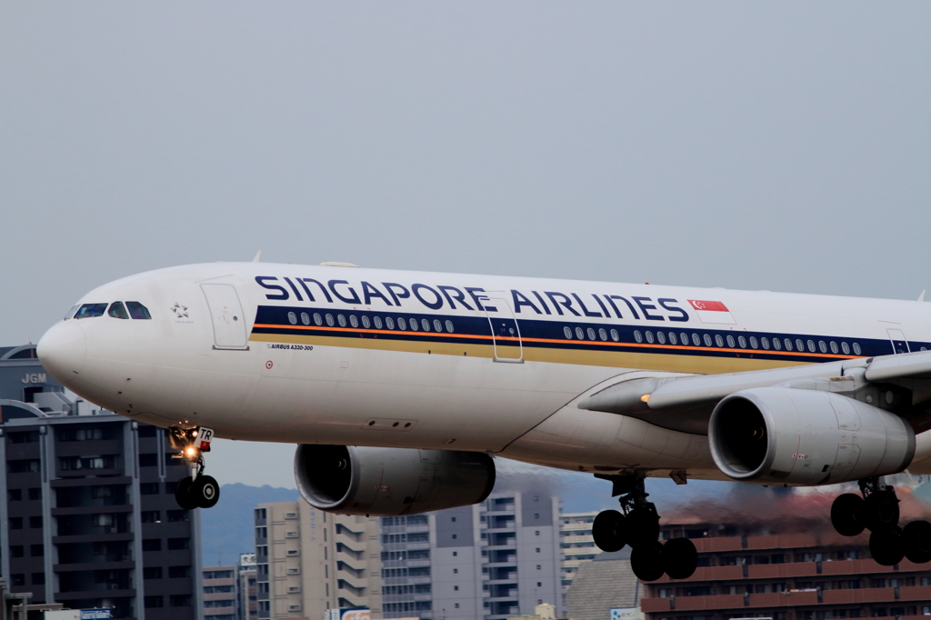 福岡空港2タミ (6)