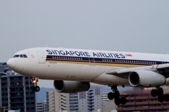 福岡空港2タミ (6)