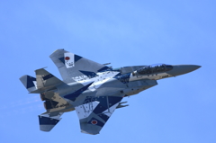 新田原エアーフェスタ (16)